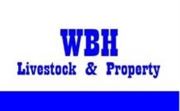 WBH Livestock