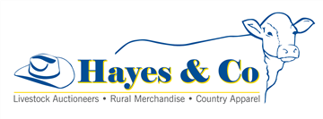 Hayes and Co - Silverdale