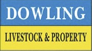 Dowling Livestock & Property Pty Ltd