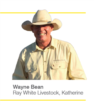 Ray White Livestock Katherine