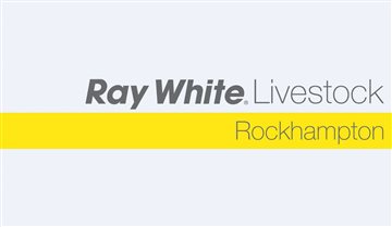 Ray White Livestock Rockhampton