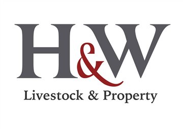 Hoch & Wilkinson
