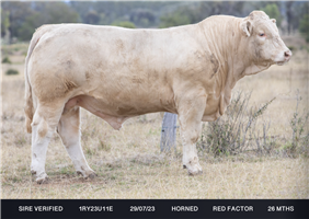 Lot 1 - Hopgood Unit