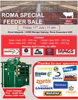 1200  Composite X Composite Steers & Heifers