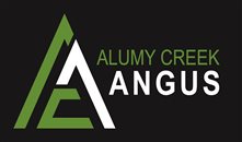 Alumy Creek Angus Colin Keevers/Lisa Martin