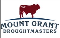 Mount Grant Droughtmasters 