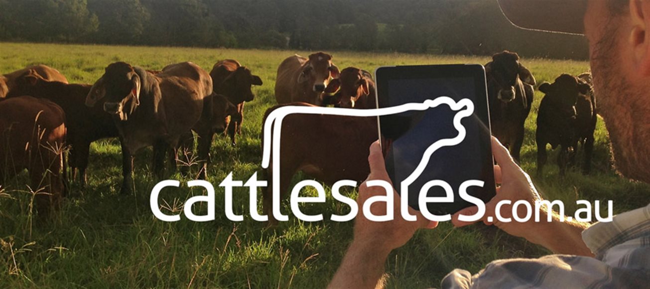 A premium marketing platform for the cattle industry